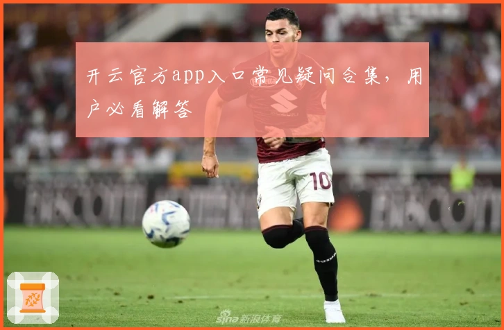 开云官方app入口常见疑问合集,用户必看解答