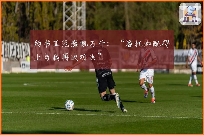 约书亚范感慨万千：“潘托加配得上与我再次对决”